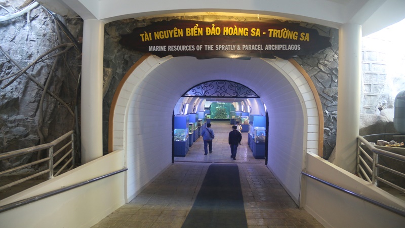 Tham quan khu trưng bày tài nguyên biển đảo Hoàng Sa tại Viện Hải dương học