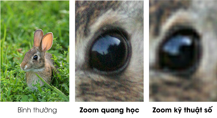 So sánh chất lượng hình ảnh giữa zoom quang học và zoom kỹ thuật số