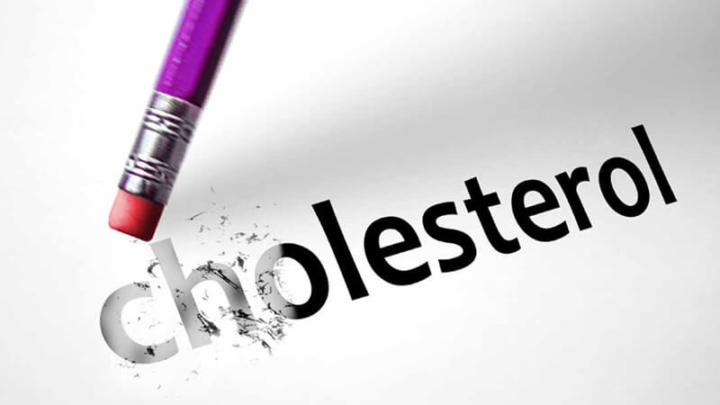 Bình thường hóa cholesterol trong cơ thể