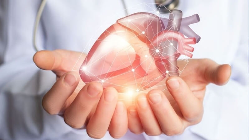 Bột Semolina có tác dụng hỗ trợ sức khỏe tim mạch
