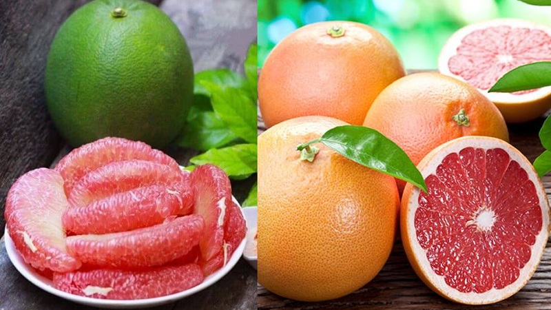 Pomelo và Grapefruit có một sự khác biệt hoàn toàn