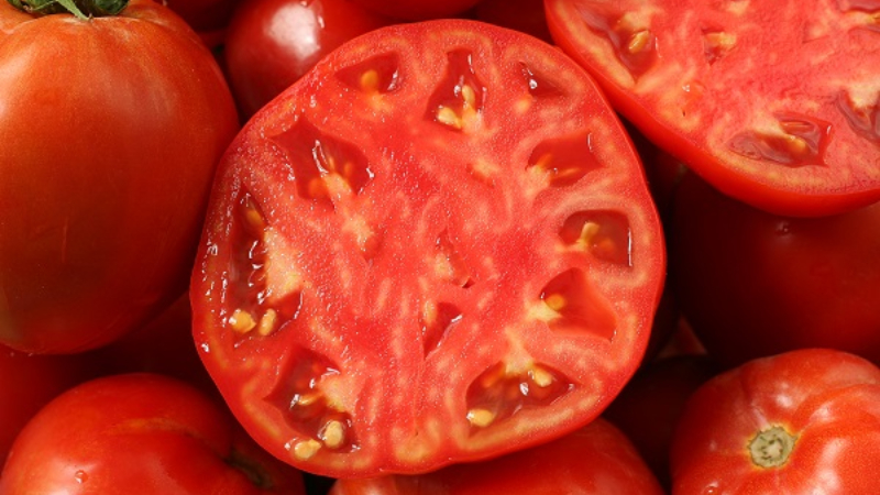 Cà chua có phần thịt dày, mọng nước