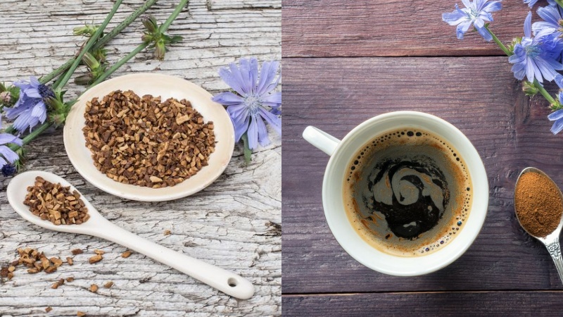 Cà phê Chicory có nhiều thành phần dinh dưỡng