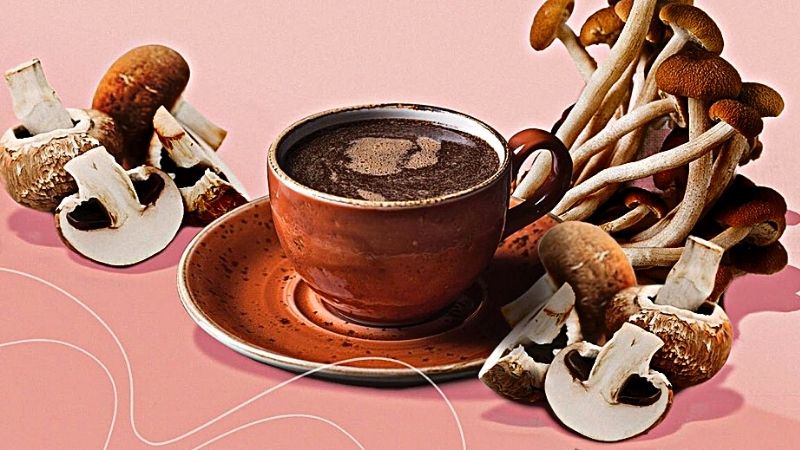 Cà phê nấm (mushroom coffee) là gì?