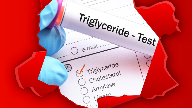 Chứng nhận an toàn của Triglyceride