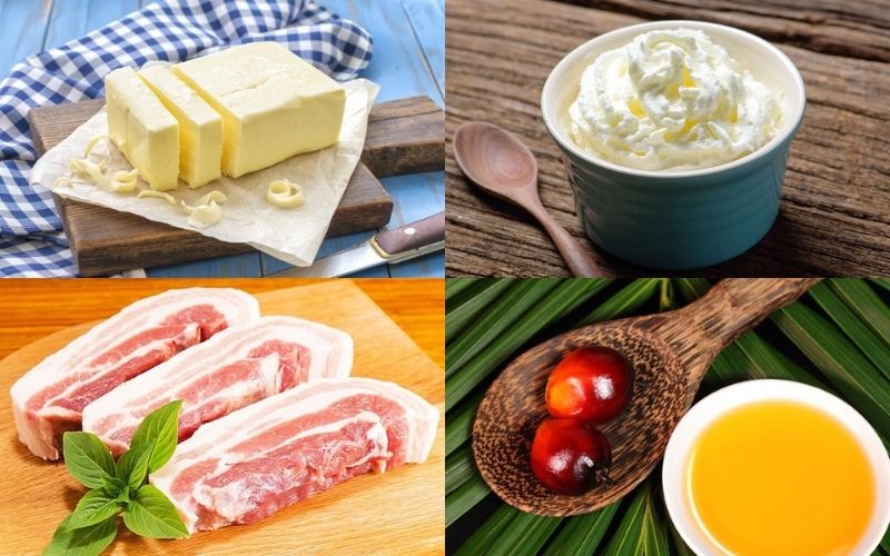 Những loại thực phẩm chứa nhiều chất béo bão hòa