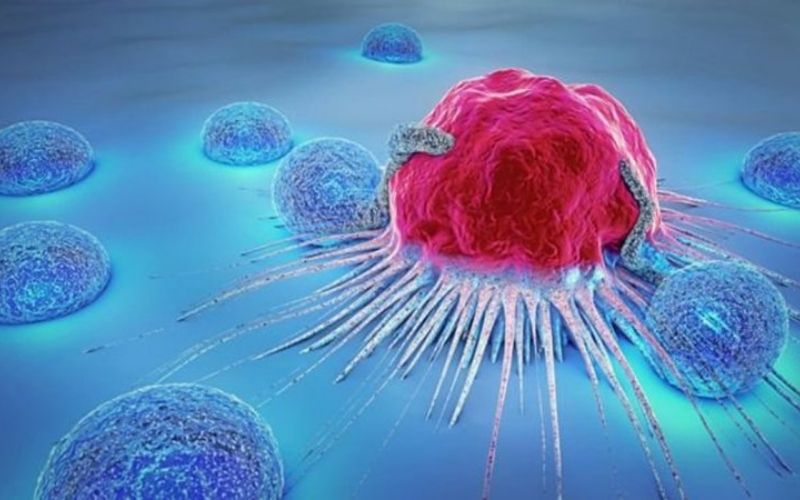 Ngăn ngừa một số loại ung thư và thúc đẩy quá trình biệt hóa tế bào