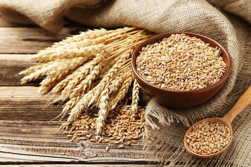Lúa mạch là loại ngũ cốc giàu chất chống oxy hóa