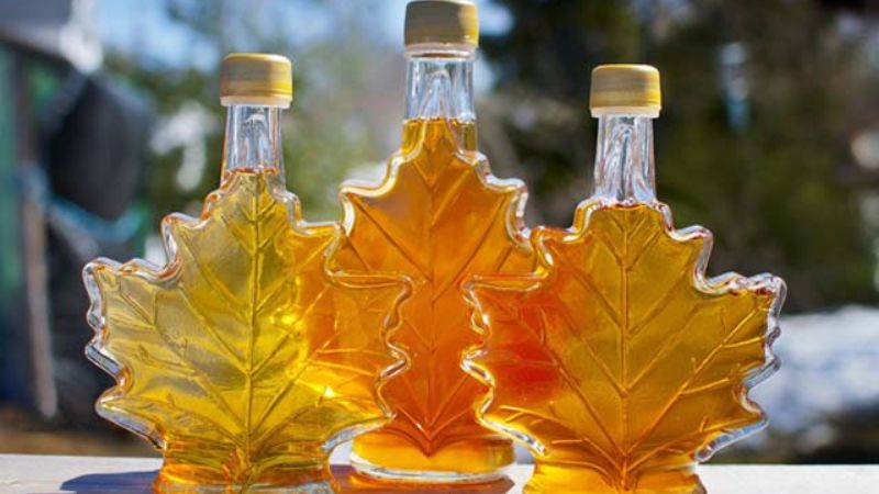Maple syrup làm từ nhựa cây phong