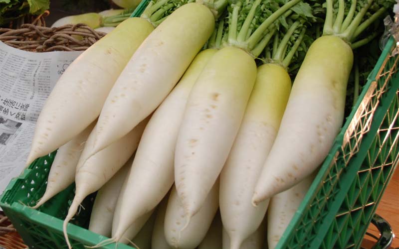 Củ cải trắng có bao nhiêu calo