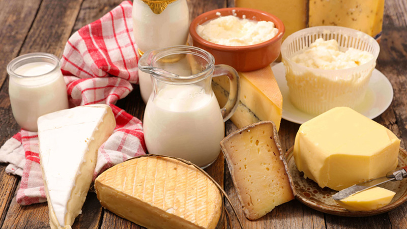 Sữa bột công thức cung cấp lượng đạm whey đáng kể cho cơ thể