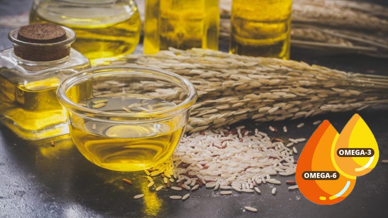 Mất cân bằng omega-3 và omega-6 trong dầu cám gạo
