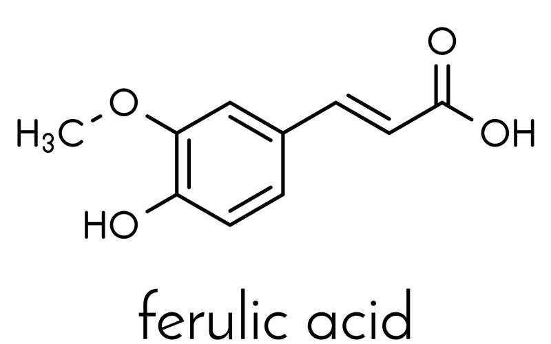 Ferulic Acid có nguồn gốc từ thực vật có tác dụng chống lão hóa da