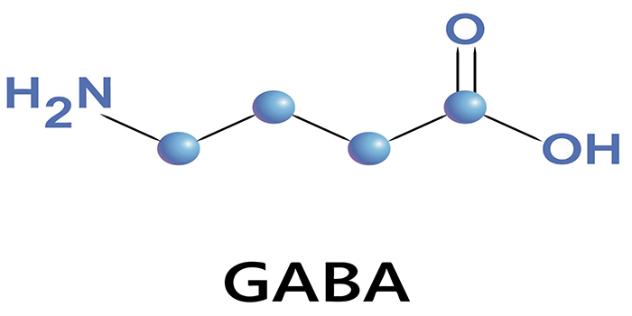 GABA là gì? và tác dụng của GABA đối với cơ thể con người
