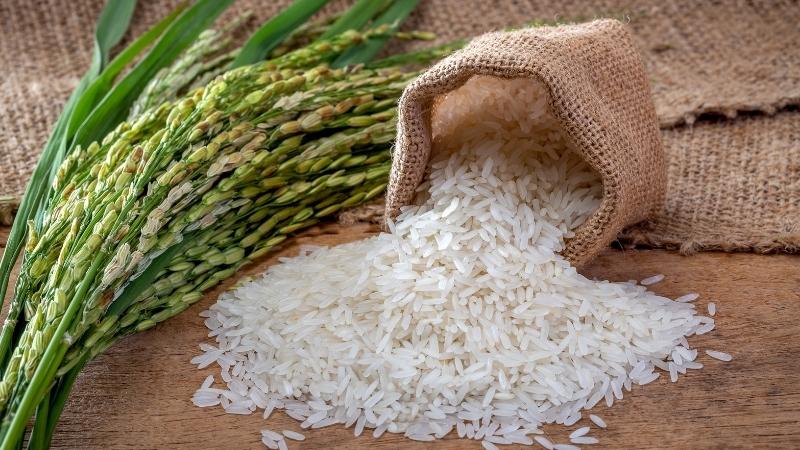 Gạo hữu cơ có thực sự an toàn?