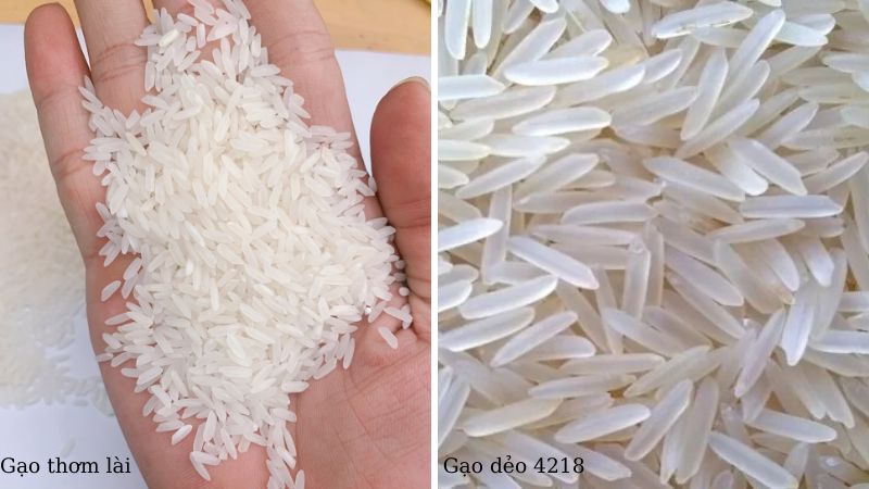 Cách phân biệt gạo thơm lài với gạo dẻo 4218?