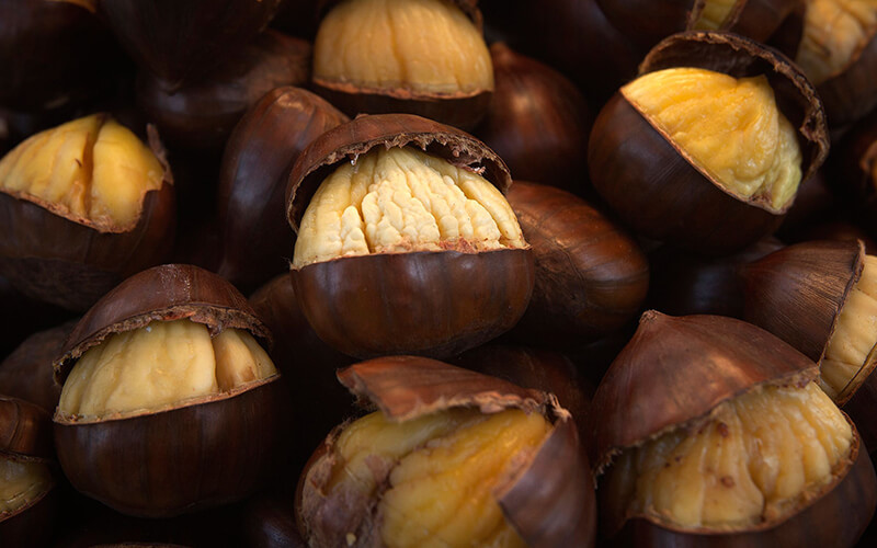 Hạt Chestnut là gì?