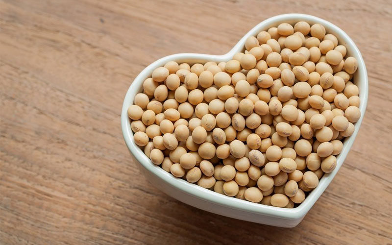 Hạt Soy Bean tốt cho tim mạch