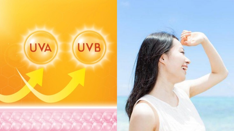 Quercetin bảo vệ da khỏi các tác động của tia UV
