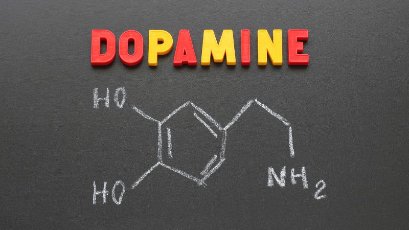 Dopamine giúp tạo cảm giác tốt