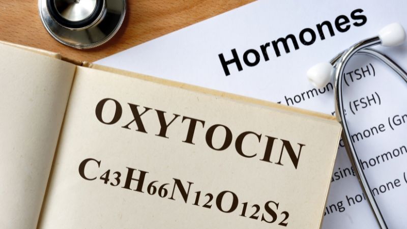 Oxytocin giảm tự kỷ