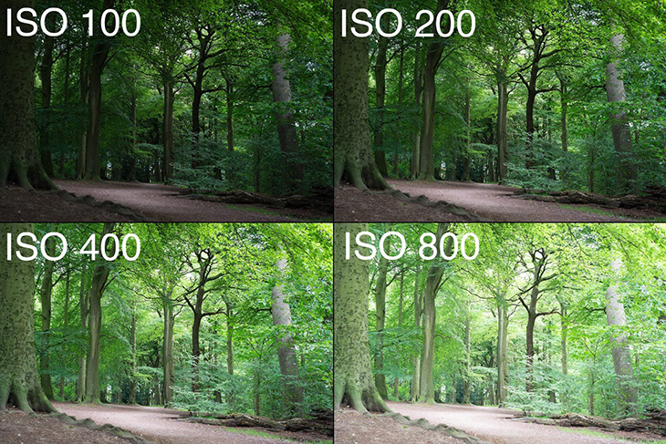 Điều chỉnh mức ISO để tăng sáng