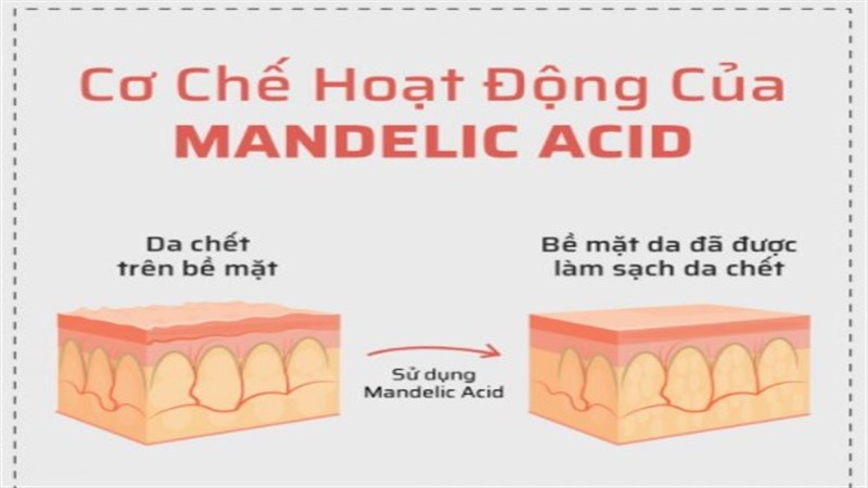Cơ chế hoạt động của Mandelic Acid