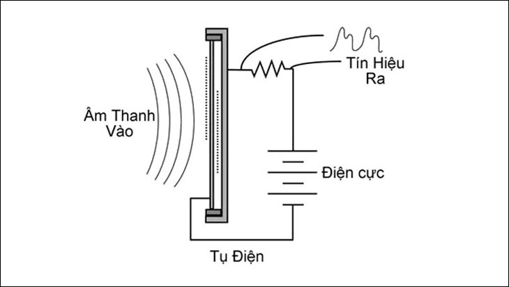 Micro condenser là gì? Công dụng của Micro condenser