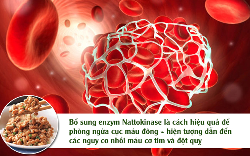 Natto chứa enzyme Nattokinase giúp phòng ngừa máu đông