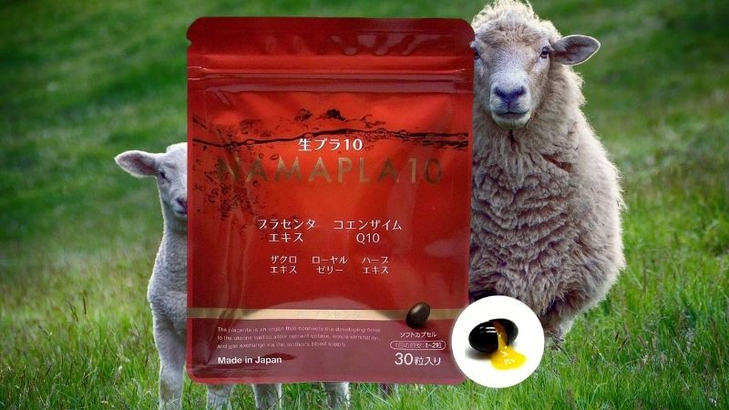 Viên uống nhau thai cừu tươi Namapla 10 của Nhật