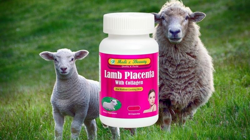 Nhau thai cừu Lamb Placenta With Collagen