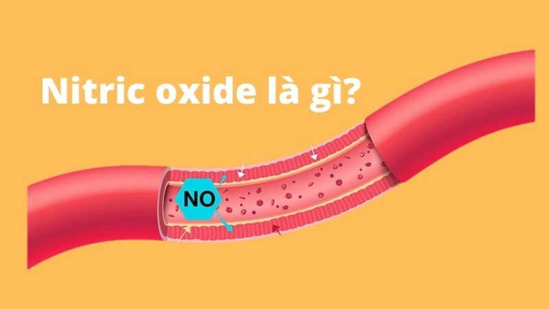 Nitric oxide là gì?