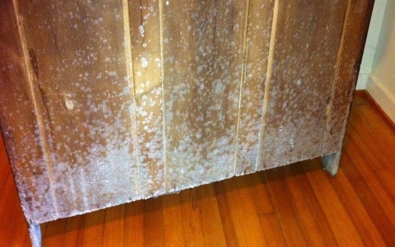 Trời nồm có thể gây ẩm mốc trên đồ dùng nội thất