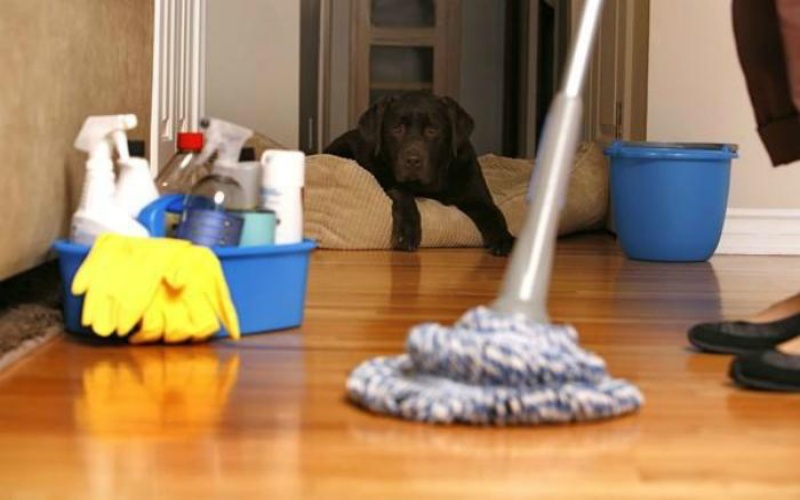 Tẩy sạch sàn nhà
