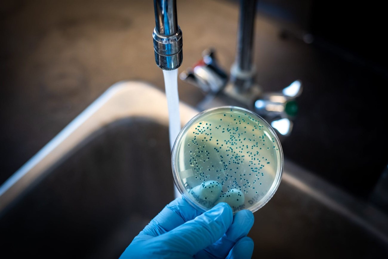 Vi khuẩn và ký sinh trùng có trong nước máy