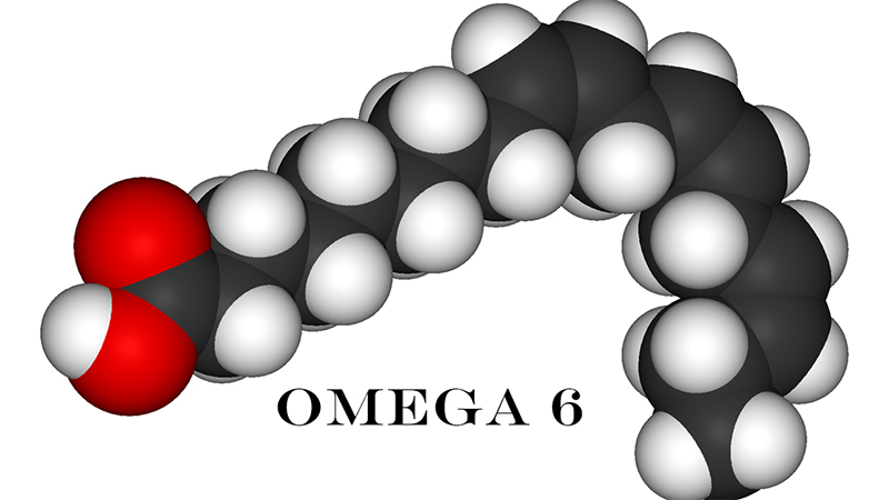 Omega 6 là gì?