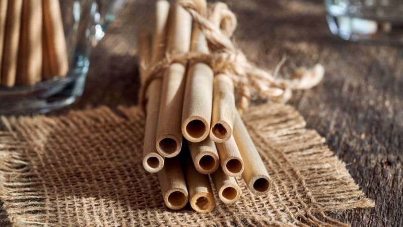 Ống hút tre (bamboo straws)