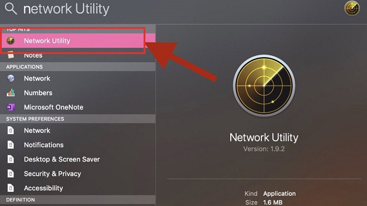 Tìm kiếm mục Network Utility bằng cách nhập network utility vào khung tìm kiếm Spolight giữa màn hình