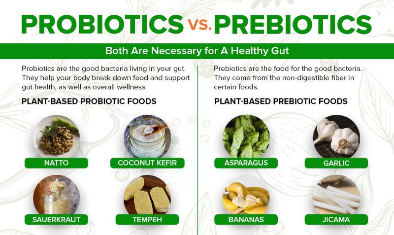 Phân biệt prebiotic và probiotic