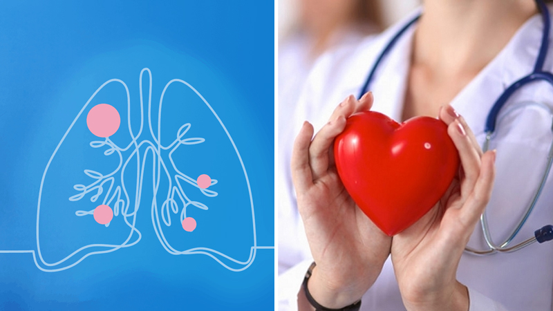 Quả la hán ngăn ngừa các bệnh lý về hô hấp, tim mạch