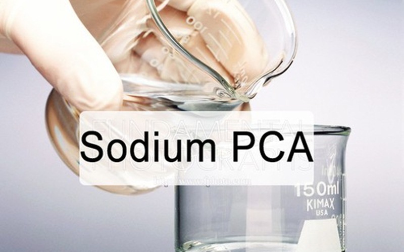 Sodium PCA là gì?