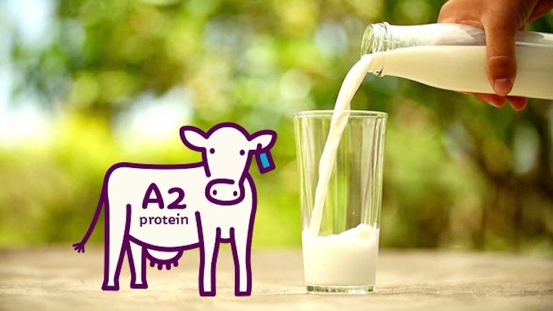 Sữa A2 thường có giá thành cao hơn sữa thường