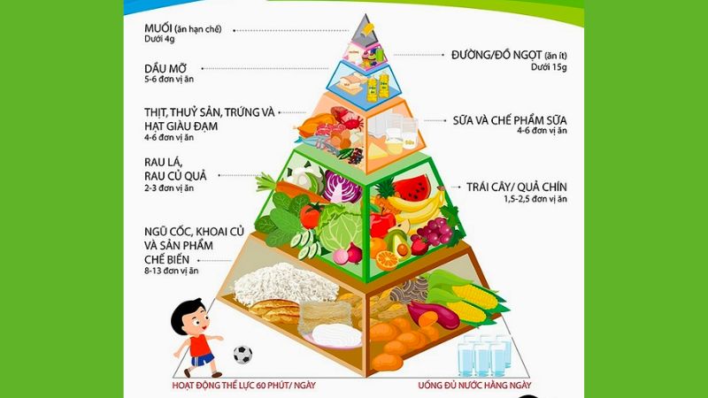 Mô hình tháp dinh dưỡng tiếng Anh có ý nghĩa gì trong việc cung cấp thông tin về ăn uống lành mạnh?

