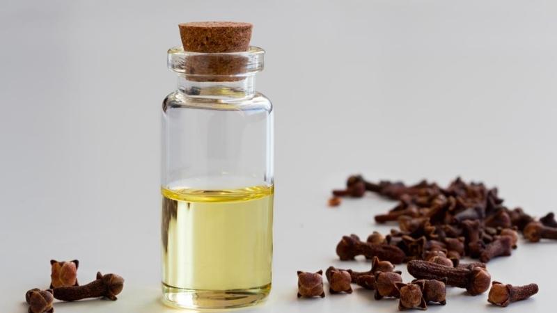 Cách bảo quản tinh dầu đinh hương