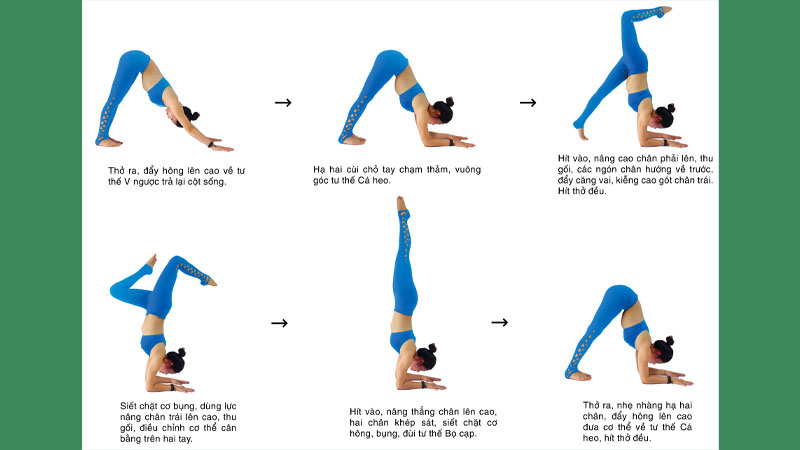 Cách thực hiện tư thế bò cạp trong yoga