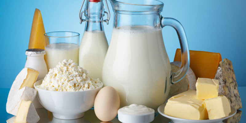 Trứng và các sản phẩm sữa
