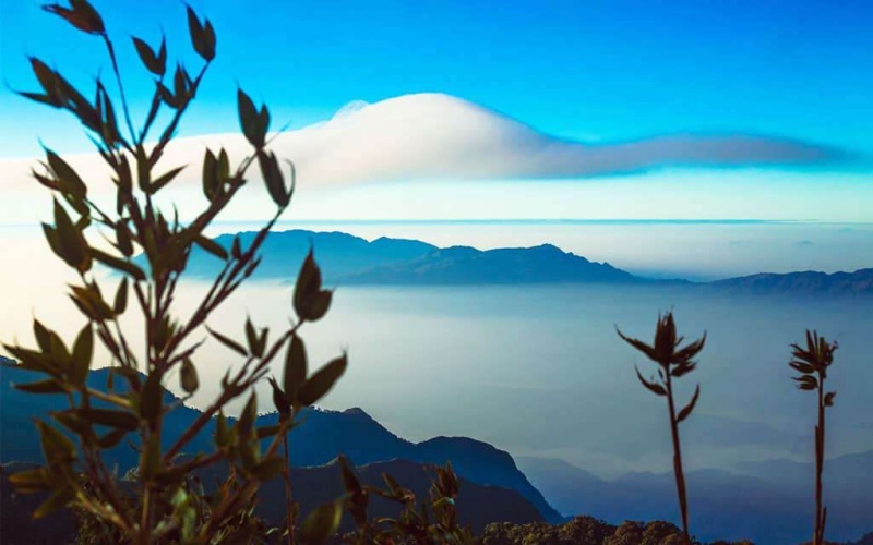 View đỉnh núi Pu Ta Leng