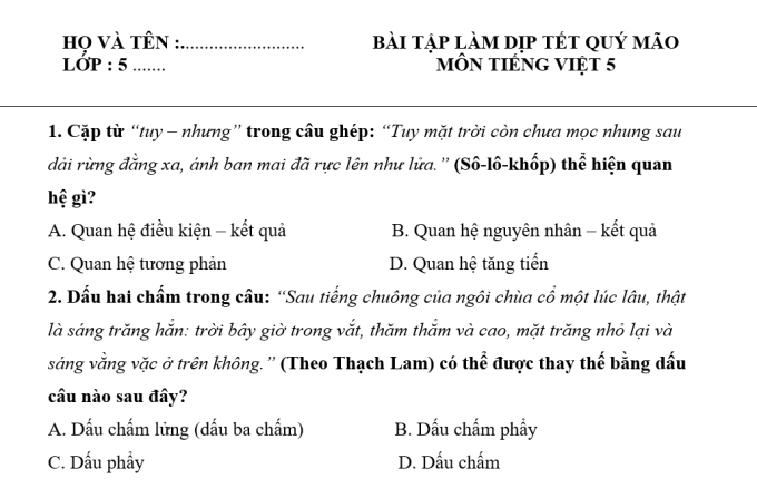 Một số câu hỏi trong file bài tập Tết môn Tiếng Việt mà con gái chị Mai nhận được. Ảnh: Nhân vật cung cấp