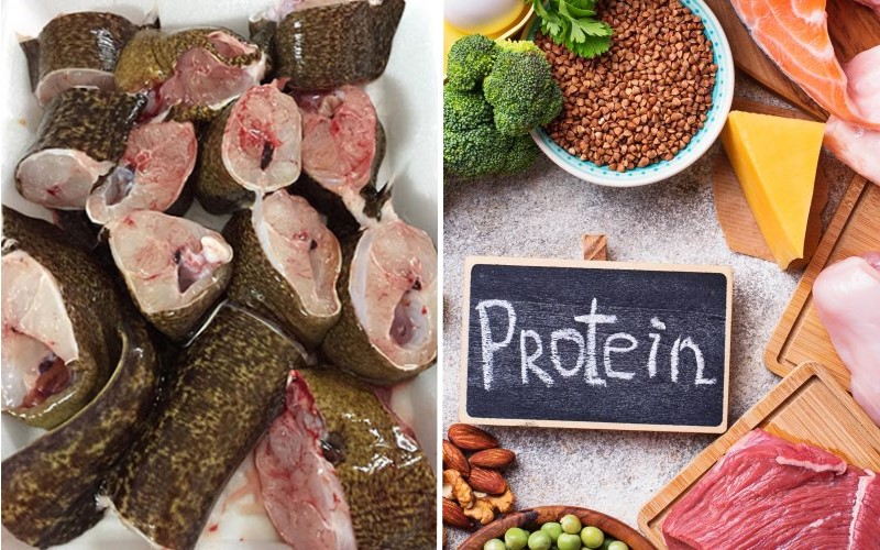 Thịt cá chình chứa hàm lượng protein cao