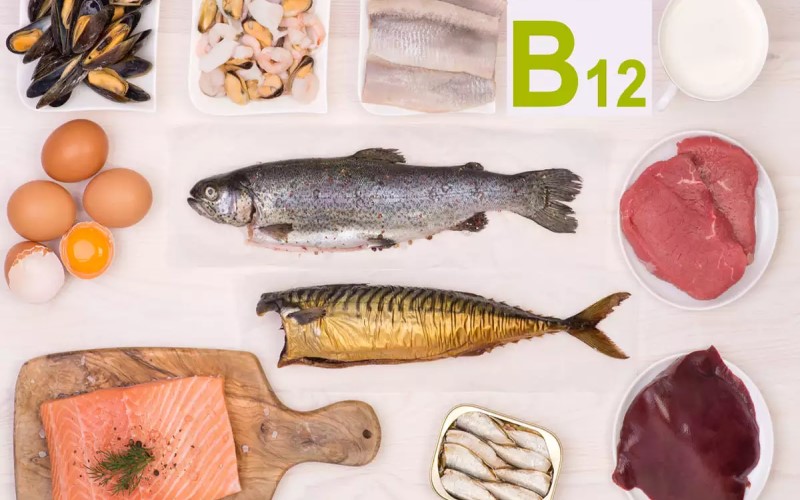 Vitamin B12 trong cá chình giúp ngăn ngừa bệnh thiếu máu